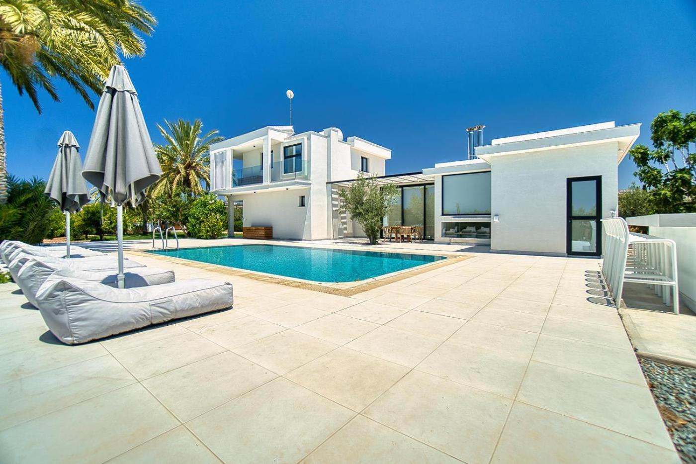Luxury Oasis