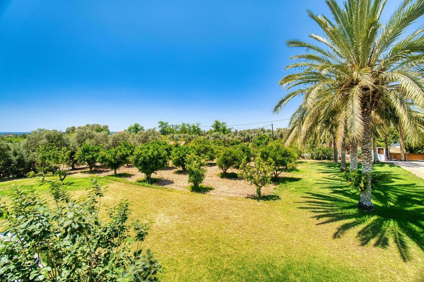Villa Luxury Oasis